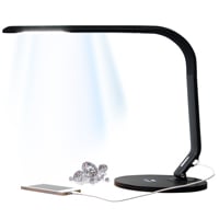 Black Horizon LED Lighted Daylight Grading Lamp